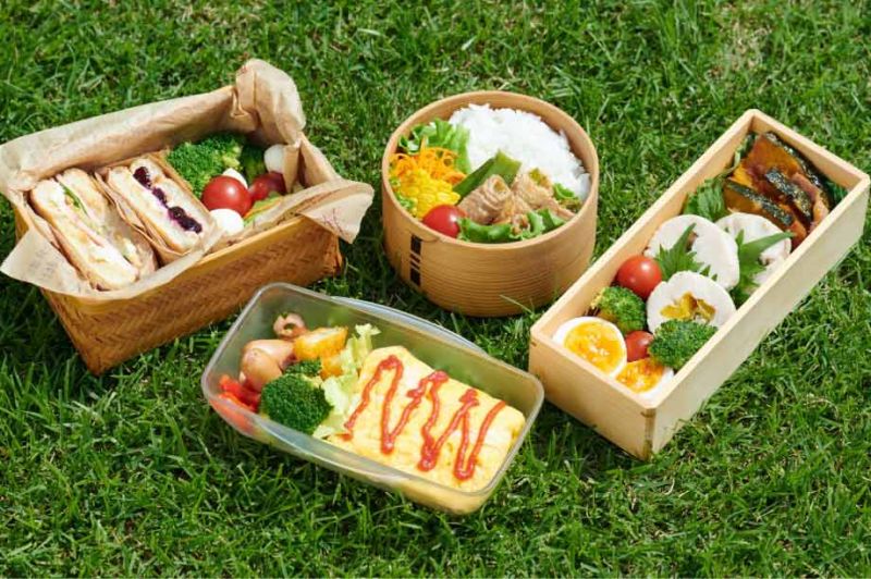 hop-bento-picnic-1 hop-bento-picnic-1
